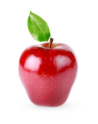 Similar image 1463022