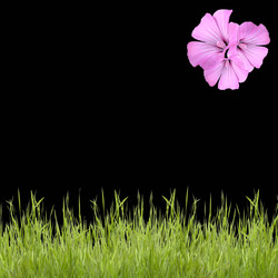 Similar image 1463135