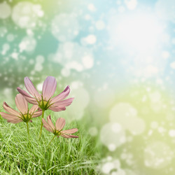 Similar image 1463138