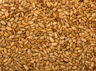 Similar image 1463212