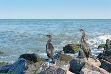 Similar image 1463221