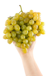 Similar image 1463227