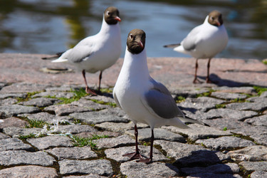 Similar image 1463248