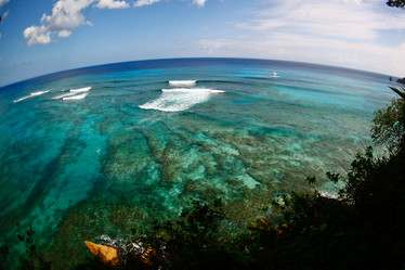 Similar image 1463258