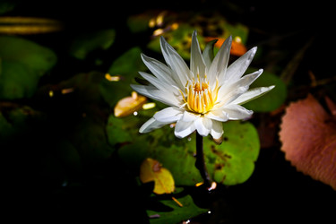 Similar image 1463265