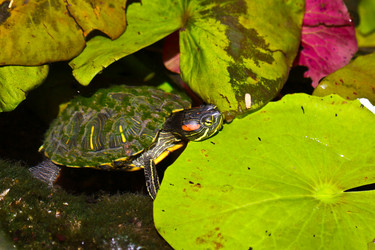 Similar image 1463268