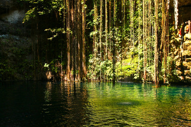 Similar image 1463269