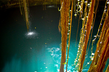 Similar image 1463270