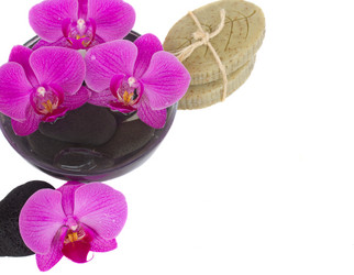 Similar image 1463275