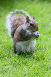 Similar image 1463281