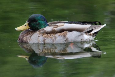 Similar image 1463282