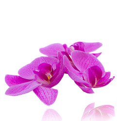 Similar image 1463301