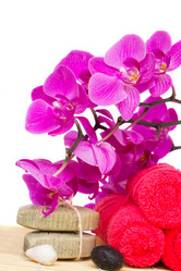 Similar image 1463304