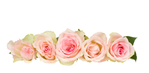 Similar image 1463305