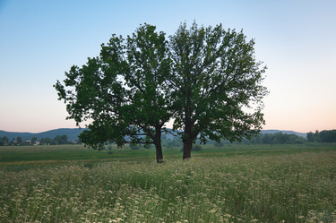 Similar image 1463308