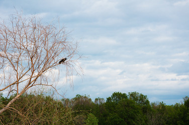 Similar image 1463311