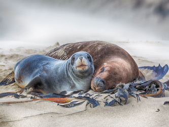 Similar image 1463327