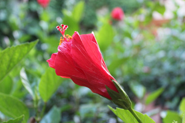 Similar image 1463330