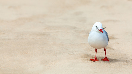 Similar image 1463332