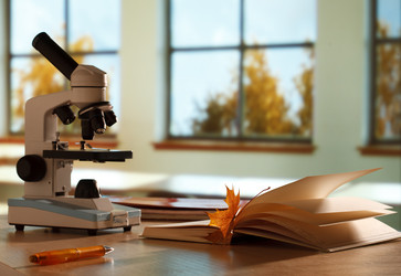 Similar image 1463341