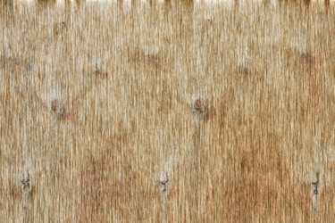 Similar image 1463353