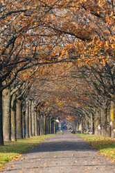 Similar image 1463359