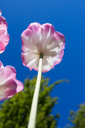 Similar image 1463366