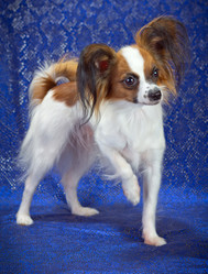 Similar image 1463406