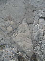 Similar image 1463446