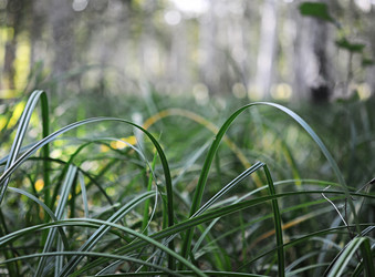 Similar image 1463493