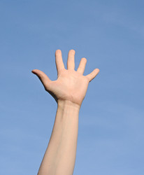 Similar image 1463498