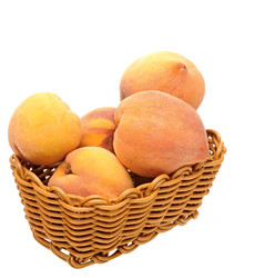 Similar image 1463531