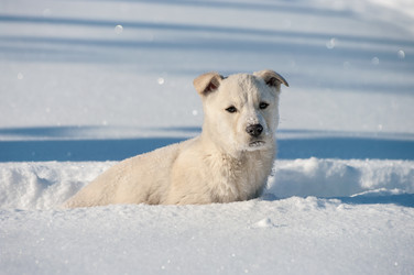 Similar image 1463613