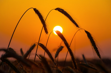 Similar image 1463617