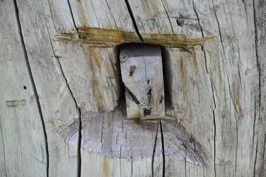 Similar image 1463648