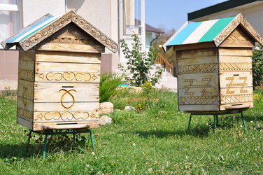 Similar image 1463651