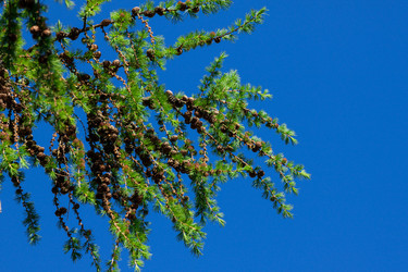 Similar image 1463668