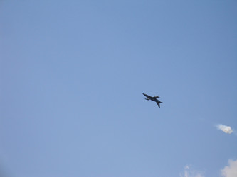 Similar image 1463760