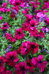 Similar image 1463784