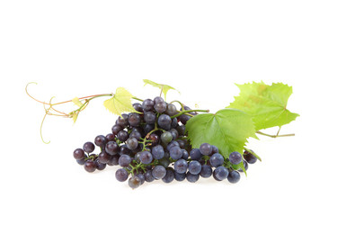 Similar image 1463833