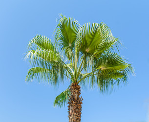 Similar image 1463835