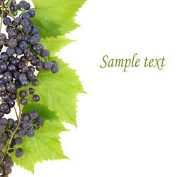 Similar image 1463837