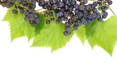 Similar image 1463841