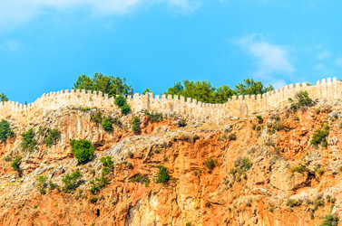 Similar image 1463854