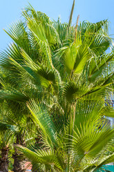 Similar image 1463855