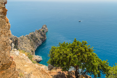 Similar image 1463856