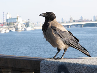 Similar image 1463901