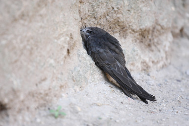 Similar image 1463903