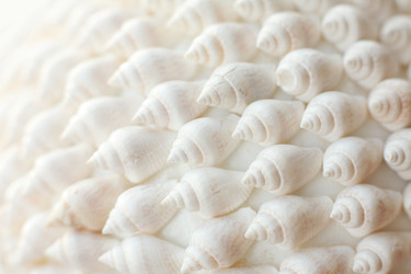 Similar image 1463913