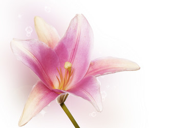 Similar image 1463981